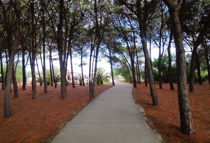 Villaggio Triton Aurum Hotels