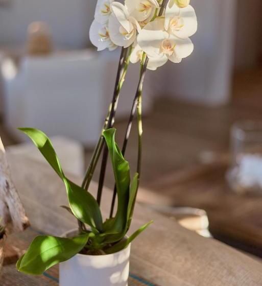 فندق Villa L'arche