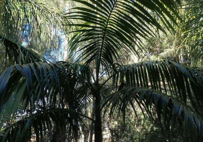 Mollymook Paradise Haven Motel