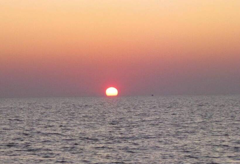 Mollymook Paradise Haven Motel