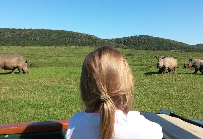 منتجع Kariega Game Reserve   Main Lodge