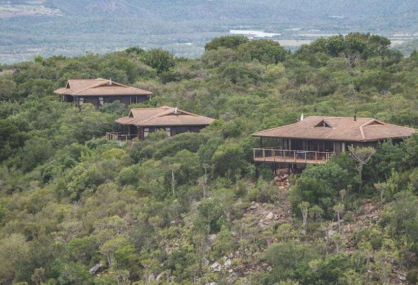 منتجع Kariega Game Reserve   Main Lodge