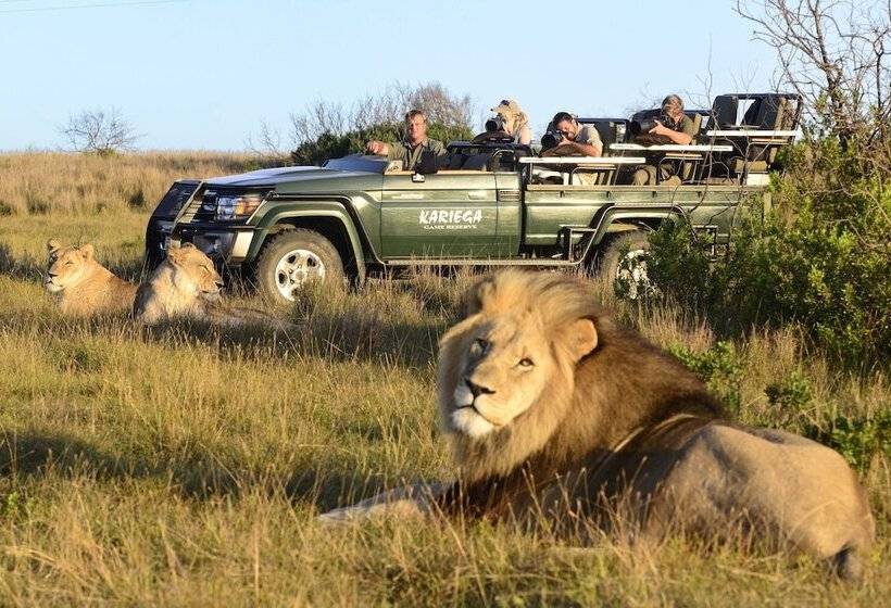 منتجع Kariega Game Reserve Ukhozi Lodge