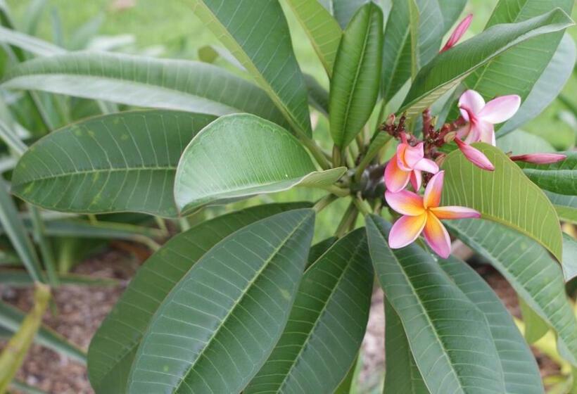 Karuah Riverside Motel