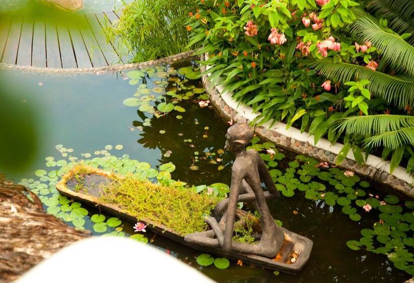 Tentaciones Hotel & Lounge Pool   Adults Only