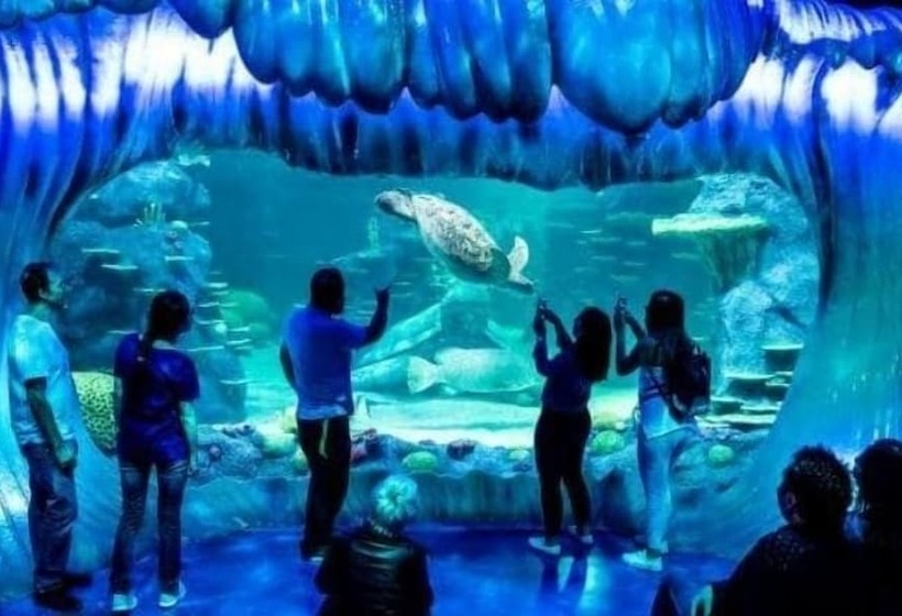 The Pacific House Hostel