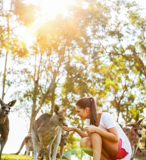 Toowong Central Motel Apartments