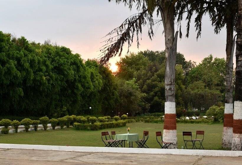 Отель Greenwood