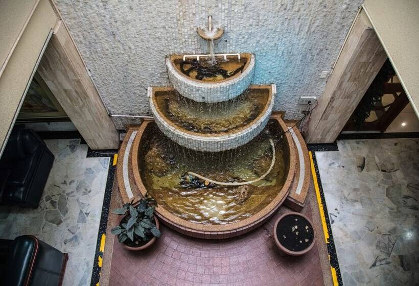 Отель Palma Real