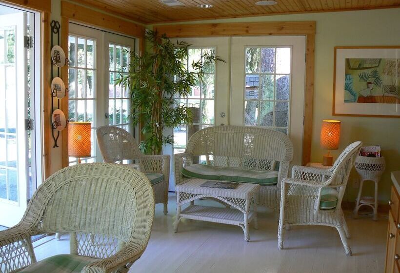 Отель The Pines Motorlodge