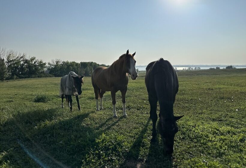 Szálloda Rocking R Guest Ranch