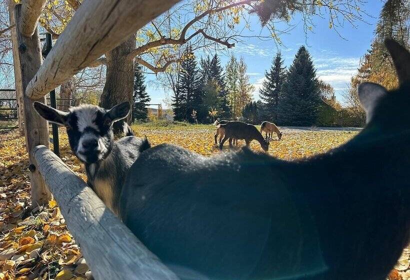 Szálloda Rocking R Guest Ranch