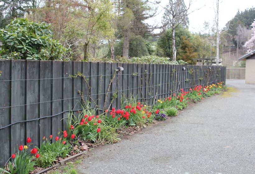 בית מלון כפרי The Mill House