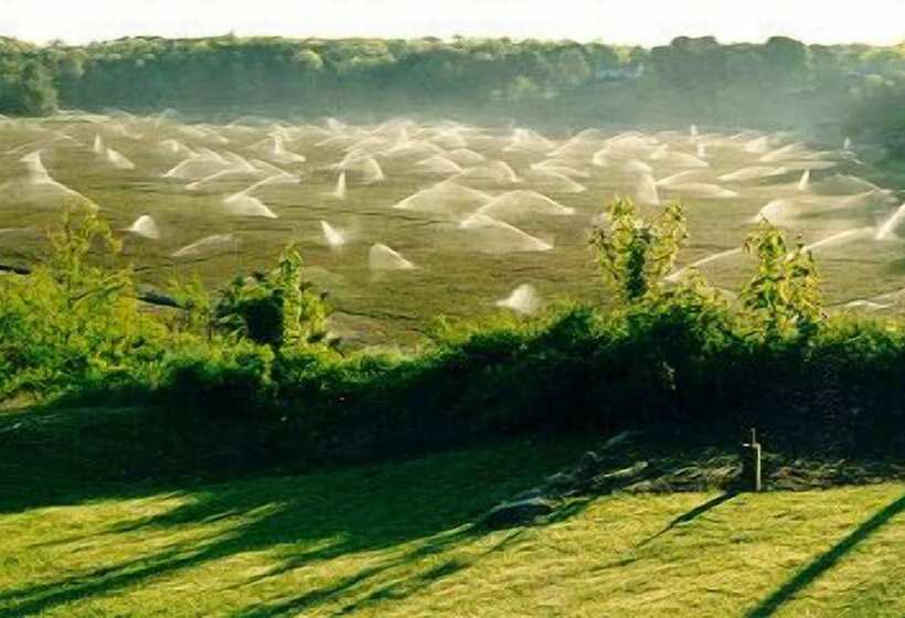 فندق Wood Duck Inn