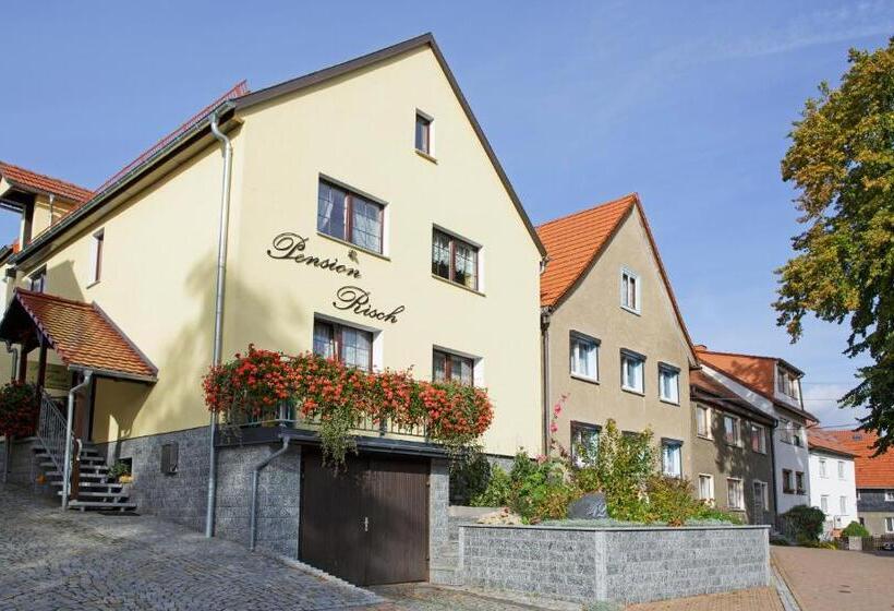 فندق Landpension Risch