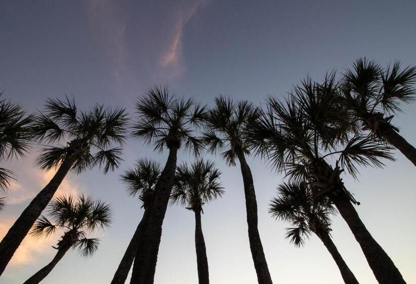 فندق North Beach Village 27