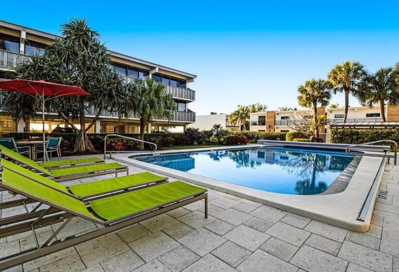 فندق Serenity Now