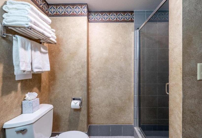 هتل Shoshone 1972