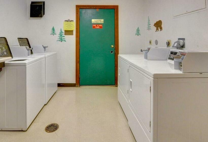 ホテル Buffalo Village 306