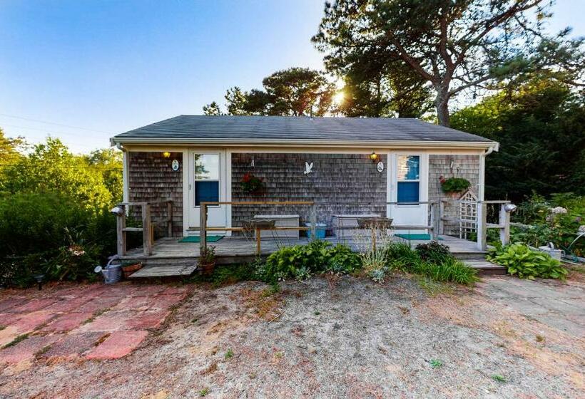 فندق Seawind Guest Studio