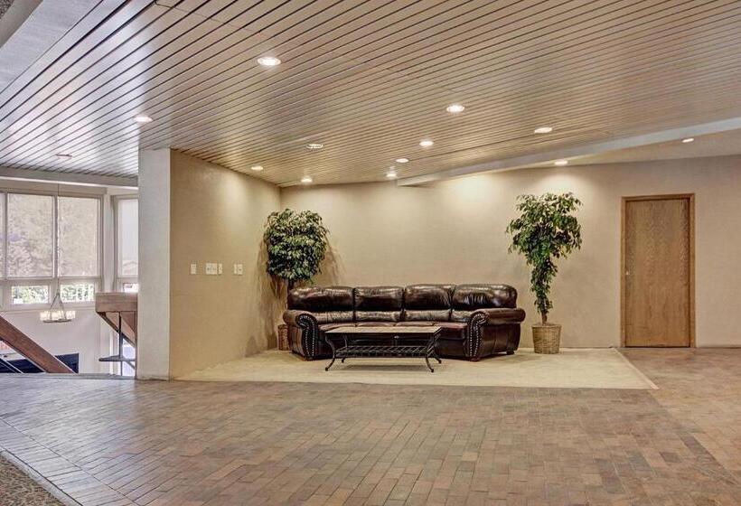 Mp522 Mountain Plaza Hotel Room