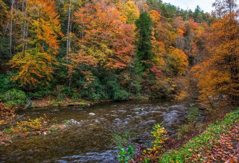 فندق Misty View Cabin