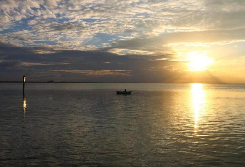 فندق Palm Tree Escape