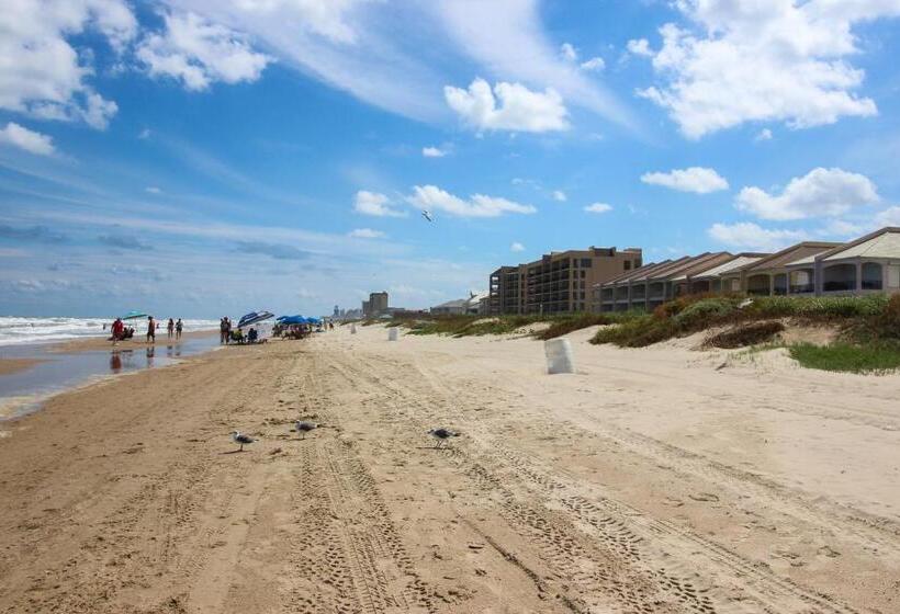 فندق Palm Tree Escape