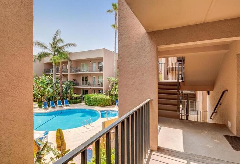 فندق Palm Tree Escape