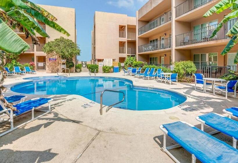 فندق Palm Tree Escape