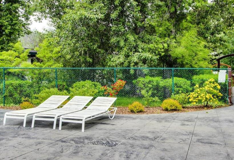 فندق Prospector Condo