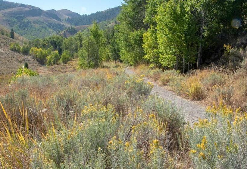 فندق Sun Valley Atelier Studio  Serenade