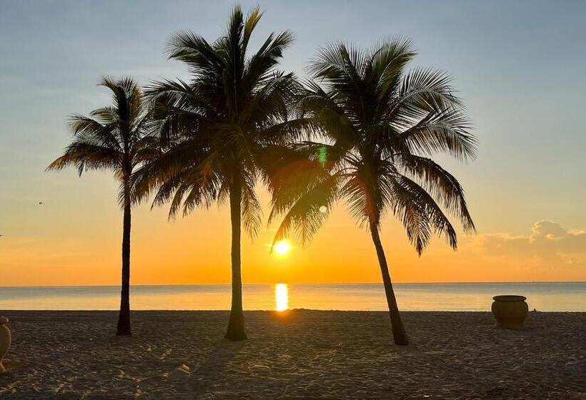 ホテル Bella Vista Studio