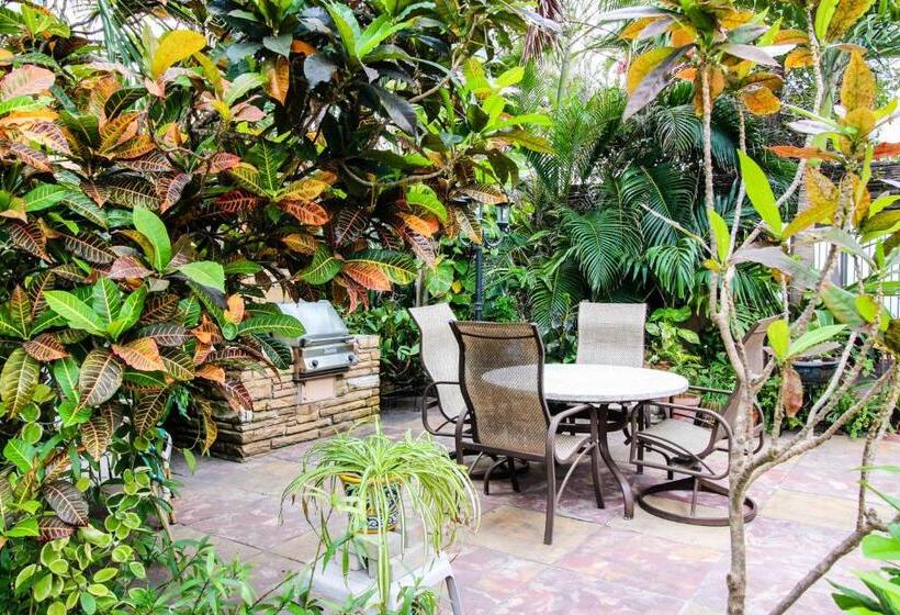 ホテル Bella Vista Studio