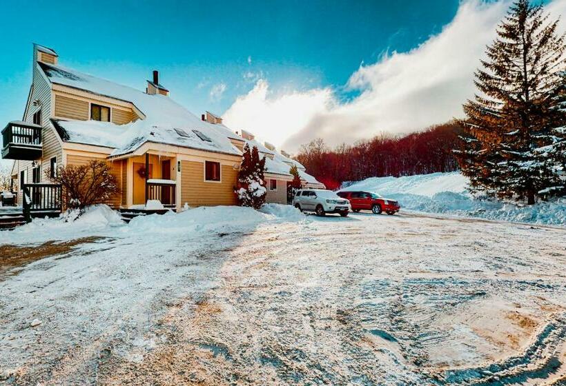 فندق Okemo Trailside 23b, Lower Level