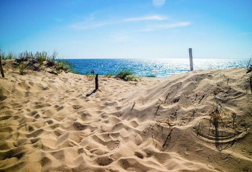 酒店 Oyster Beach Bungalow