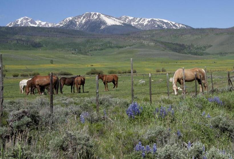 호텔 Ryan Culch Condo 8036