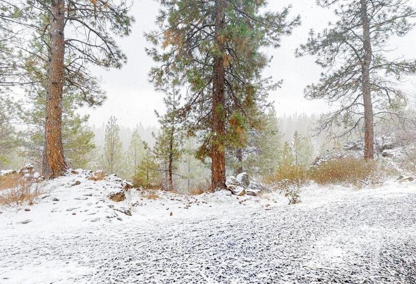 فندق Seventh Mountain Ii