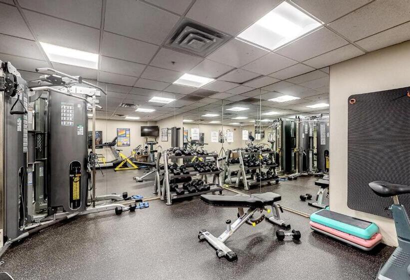 Отель Simba Run