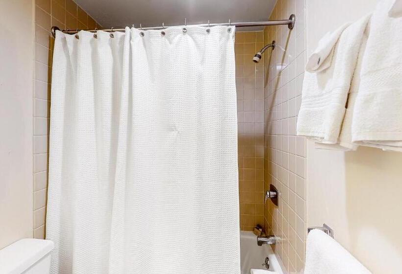 Отель Simba Run