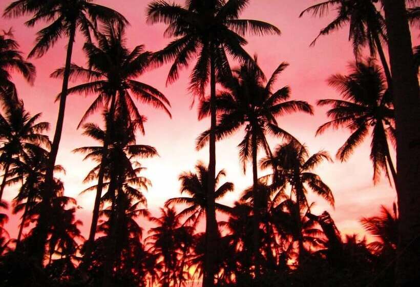 Balay De La Rama Bed & Breakfast