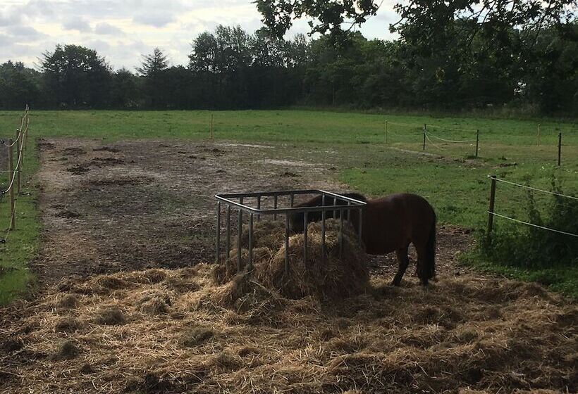 Bed & Breakfast Tistrup