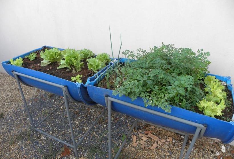 Отель Executive MT