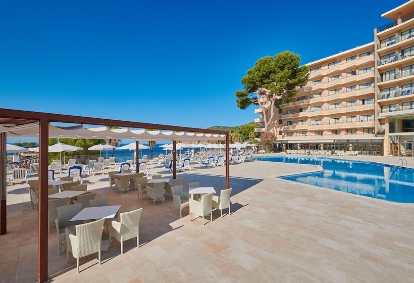 Grupotel Playa Camp De Mar  Adults Only