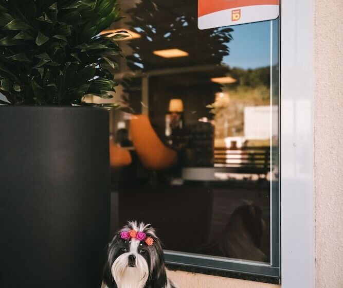 בית מלון כפרי 10 Curitiba