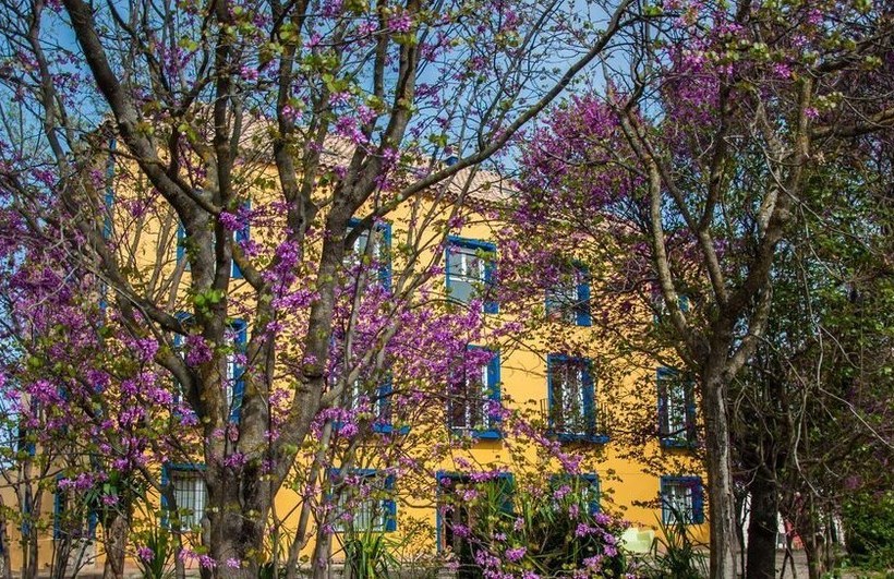 Отель Rural 26 Labrador Adults Only