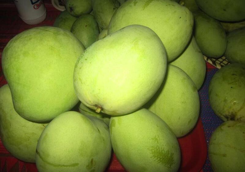 هتل 67th Heaven Holiday Resort