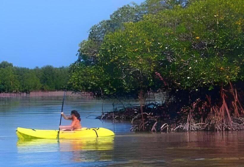 هتل 67th Heaven Holiday Resort