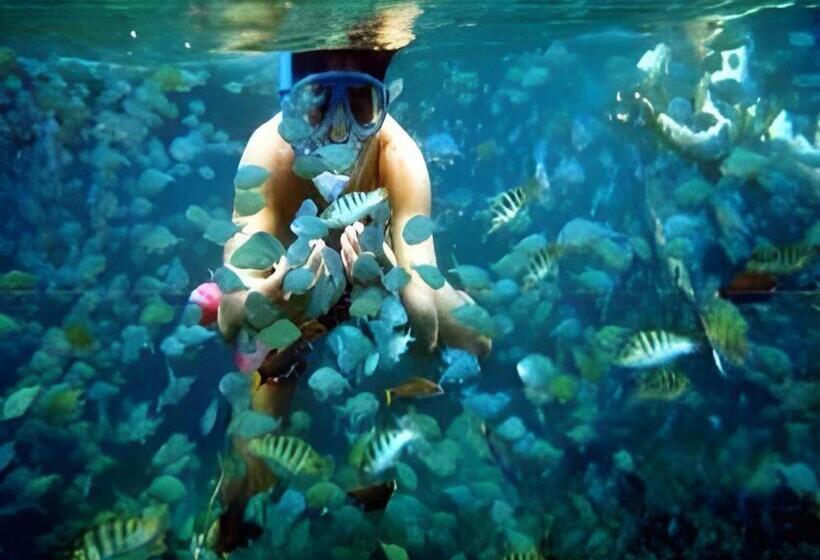 هتل 67th Heaven Holiday Resort