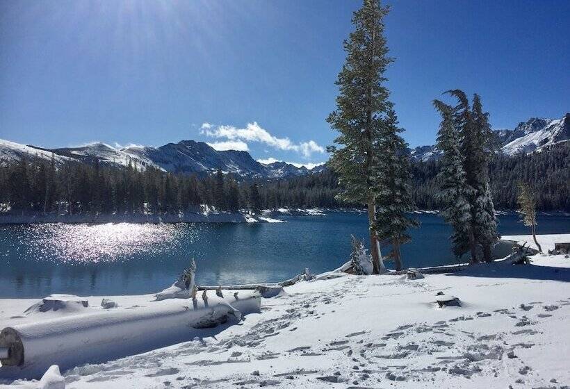 Отель Aspen Creek #226   Year Round Activities!